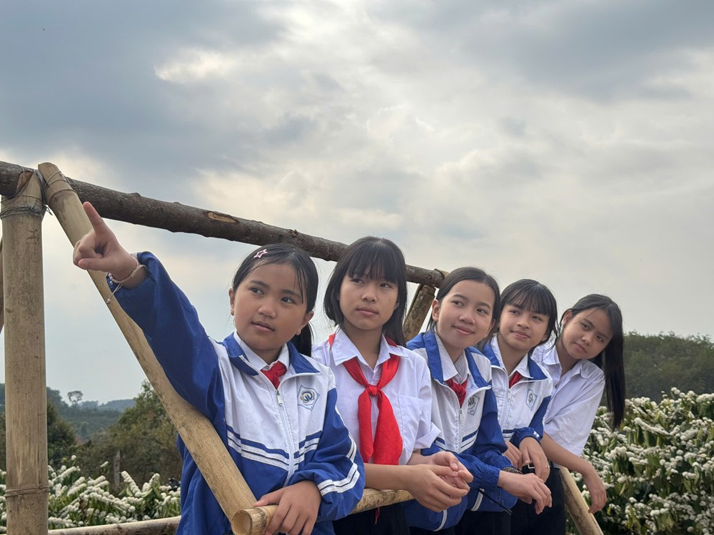 Quảng Ngãi: Sắc Xuân trên những nương cà phê Đăk Hà - ảnh 9