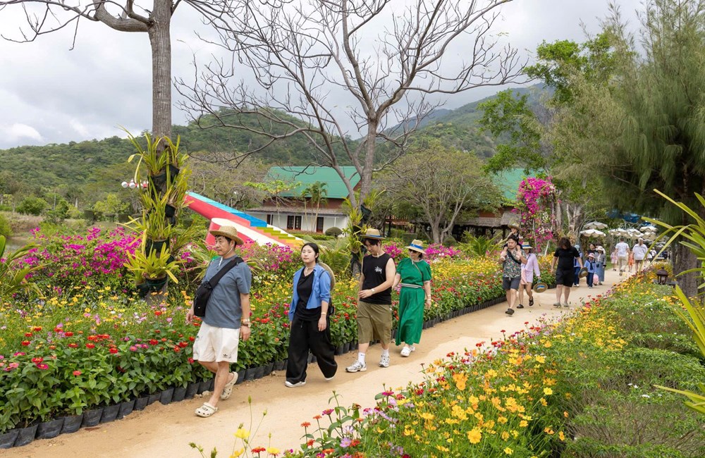 Du lịch Khánh Hòa bùng nổ, đón hơn 1 triệu lượt khách dịp Tết Bính Ngọ 2026 - ảnh 6