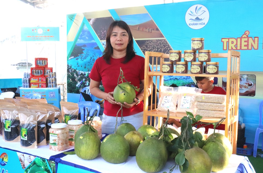 Khánh Hòa:  Mức thu nhập bình quân của người lao động đạt gần 13 triệu đồng/tháng - ảnh 2