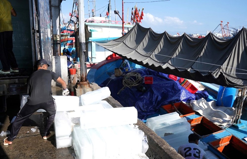 Khánh Hòa: Ngư dân hối hả vươn khơi, đón “lộc biển” đầu năm - ảnh 4