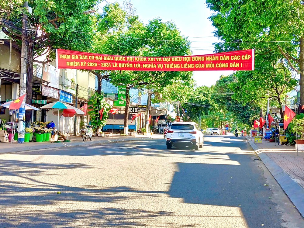 Gia Lai rực rỡ cờ hoa hướng về ngày hội non sông - ảnh 7