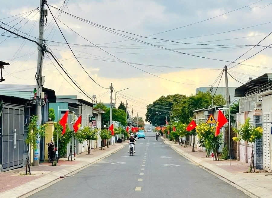 Gia Lai rực rỡ cờ hoa hướng về ngày hội non sông - ảnh 8