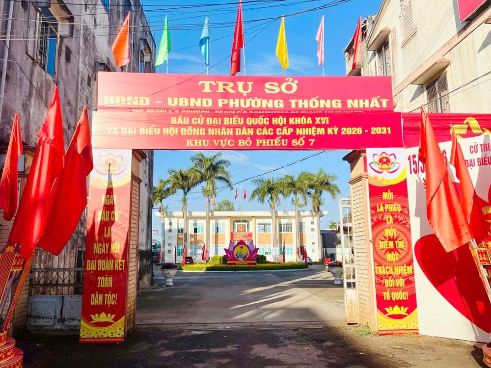 Gia Lai rực rỡ cờ hoa hướng về ngày hội non sông - ảnh 4