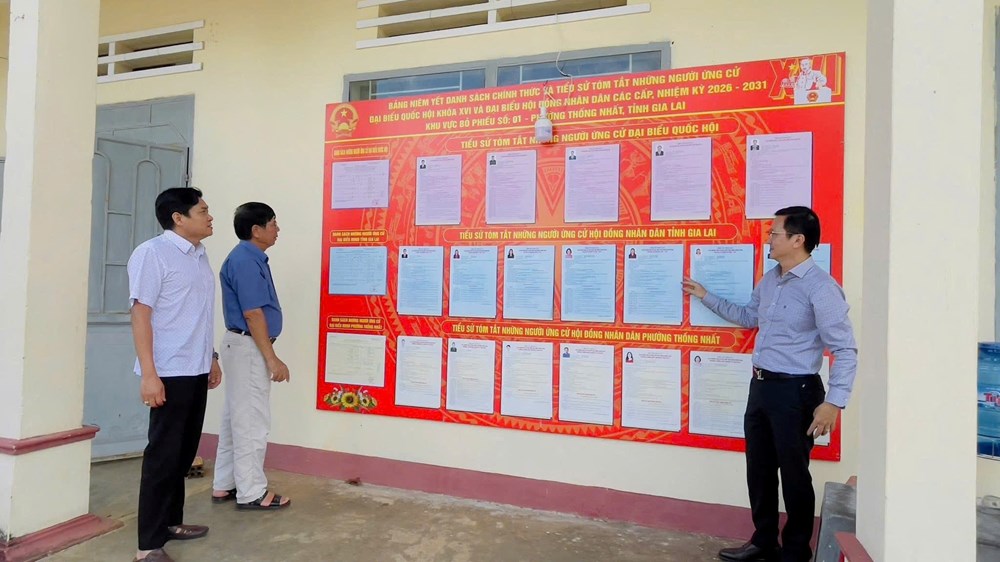 Gia Lai rực rỡ cờ hoa hướng về ngày hội non sông - ảnh 9