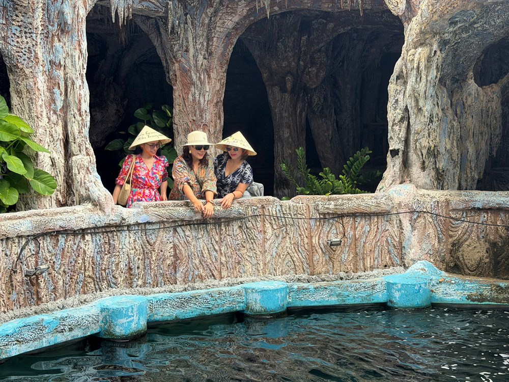 Kỳ thú Thủy cung Trí Nguyên trên vịnh Nha Trang - ảnh 9