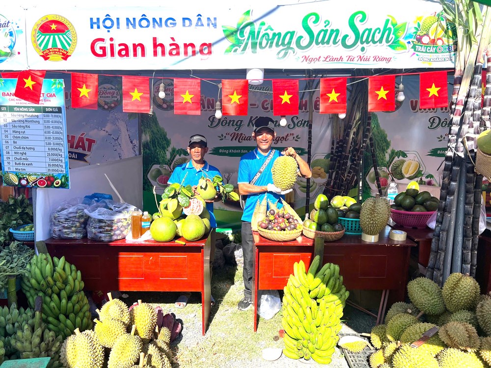 Đông Khánh Sơn mùa mây quyện hương trái chín - ảnh 3