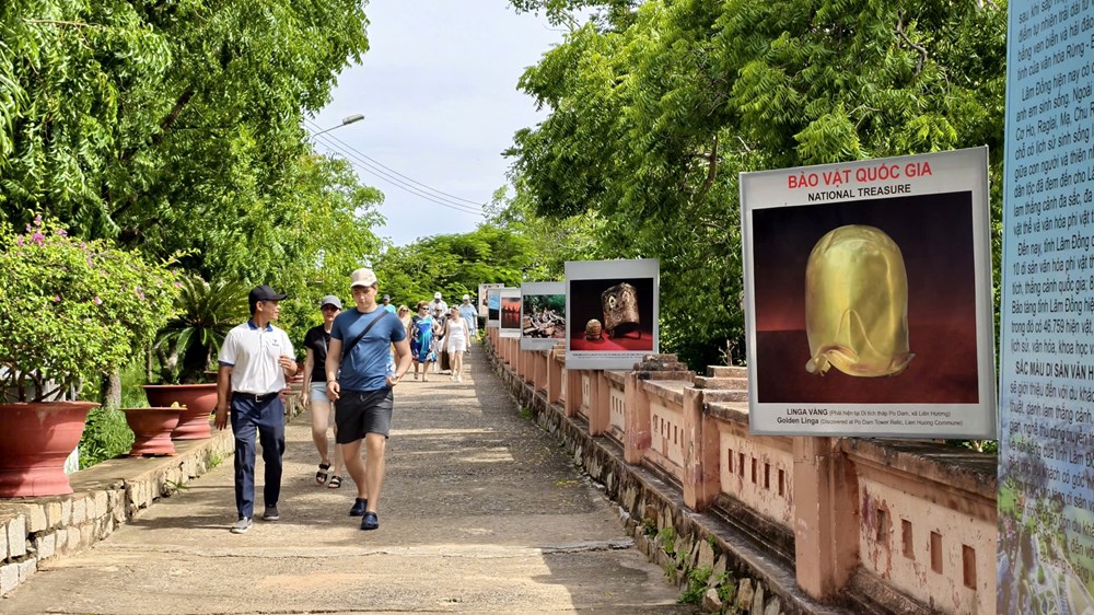 Nam Trung Bộ - Tây Nguyên: Mùa vàng du lịch 2026 - ảnh 5