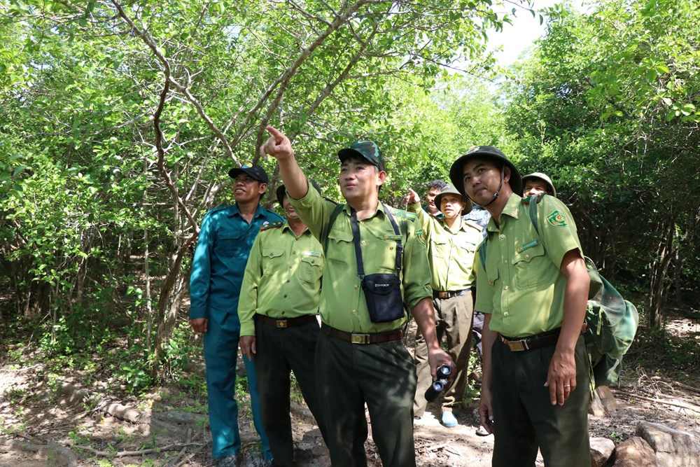 Chuyện những người giữ “nhịp thở” rừng Núi Chúa - Phước Bình - ảnh 2