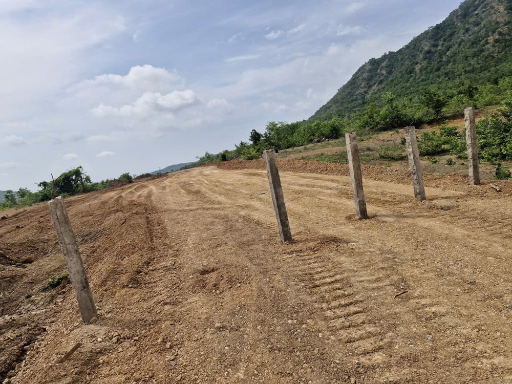  Bí thư Tỉnh ủy Khánh Hoà chỉ đạo giải quyết đơn tố cáo liên quan đến đất đai - ảnh 1