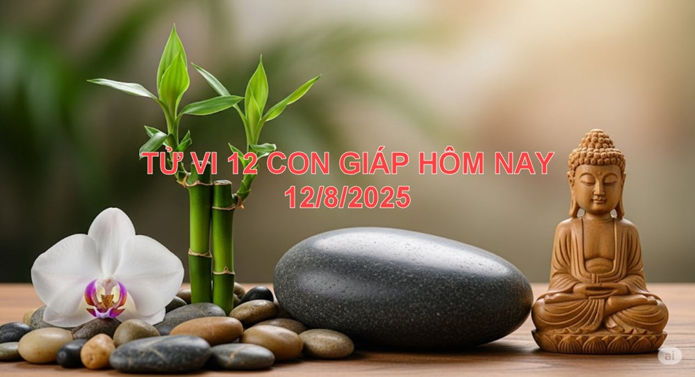 Tử vi 12 con giáp ngày 12.8.2025: Ai may mắn, ai đối diện thử thách? - ảnh 1