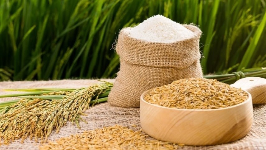 Giá nông sản hôm nay 17.8.2025: Cà phê tiếp tục bứt phá, hồ tiêu giảm nhẹ, lúa gạo ổn định - ảnh 1