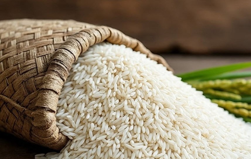 Giá gạo hôm nay 31.8.2025: Giao dịch trầm lắng, giá ổn định - ảnh 1