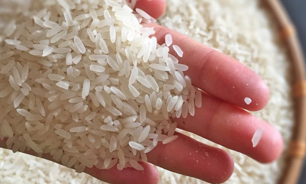 Giá lúa gạo hôm nay 12.9.2025: Giá lúa giữ vững, gạo thơm xuất khẩu gặp khó - ảnh 1