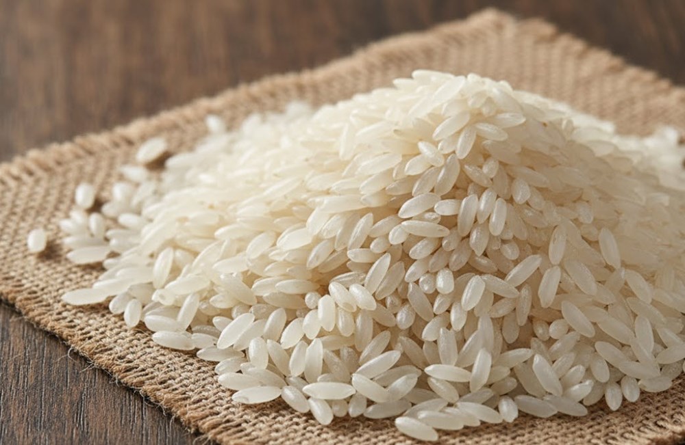Giá lúa gạo hôm nay 14.10: Tăng nhẹ ở phân khúc cao cấp - ảnh 1