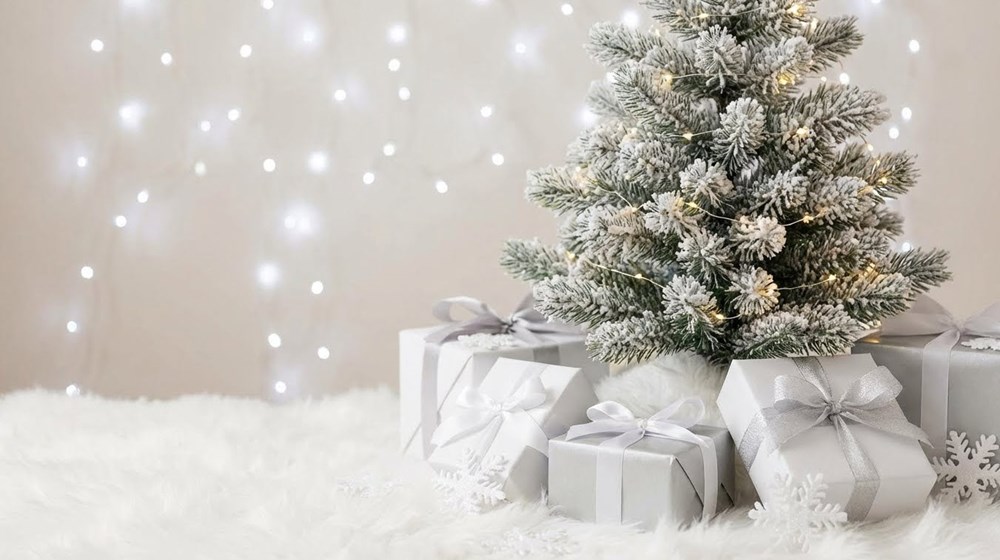 Bí quyết lên concept chụp ảnh Giáng sinh: Đẹp, tiết kiệm và dễ làm tại nhà - ảnh 2