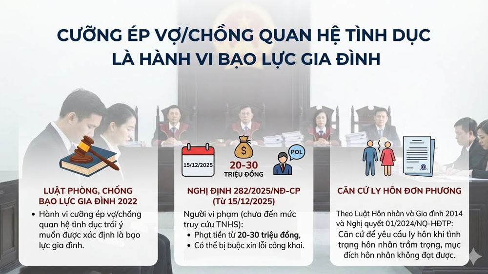 Cưỡng ép quan hệ trong hôn nhân có thể bị phạt tới 30 triệu đồng - ảnh 3