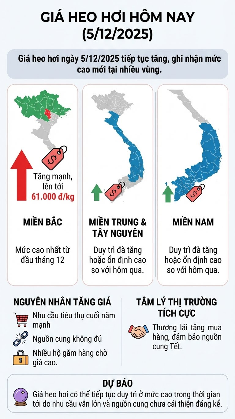 Giá heo hơi hôm nay 5.12: Miền Bắc lên 61.000 đồng/kg - ảnh 3