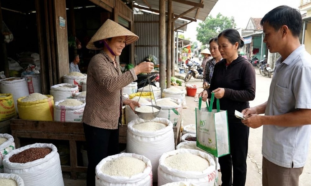 Giá lúa gạo hôm nay 5.12: Nội địa ổn định, xuất khẩu giảm nhẹ - ảnh 1