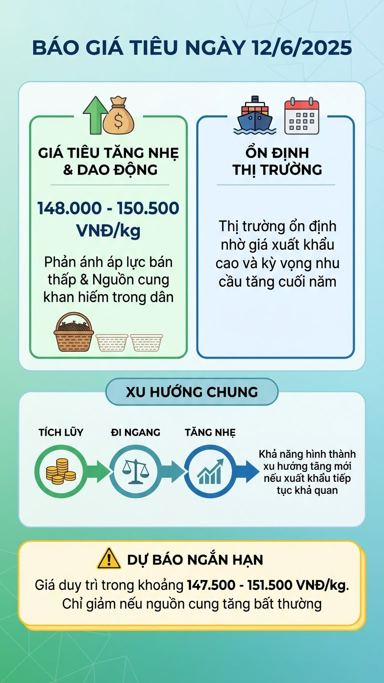 Giá hồ tiêu hôm nay 6.12: Giữ vững mốc 150.000 đồng/kg - ảnh 3