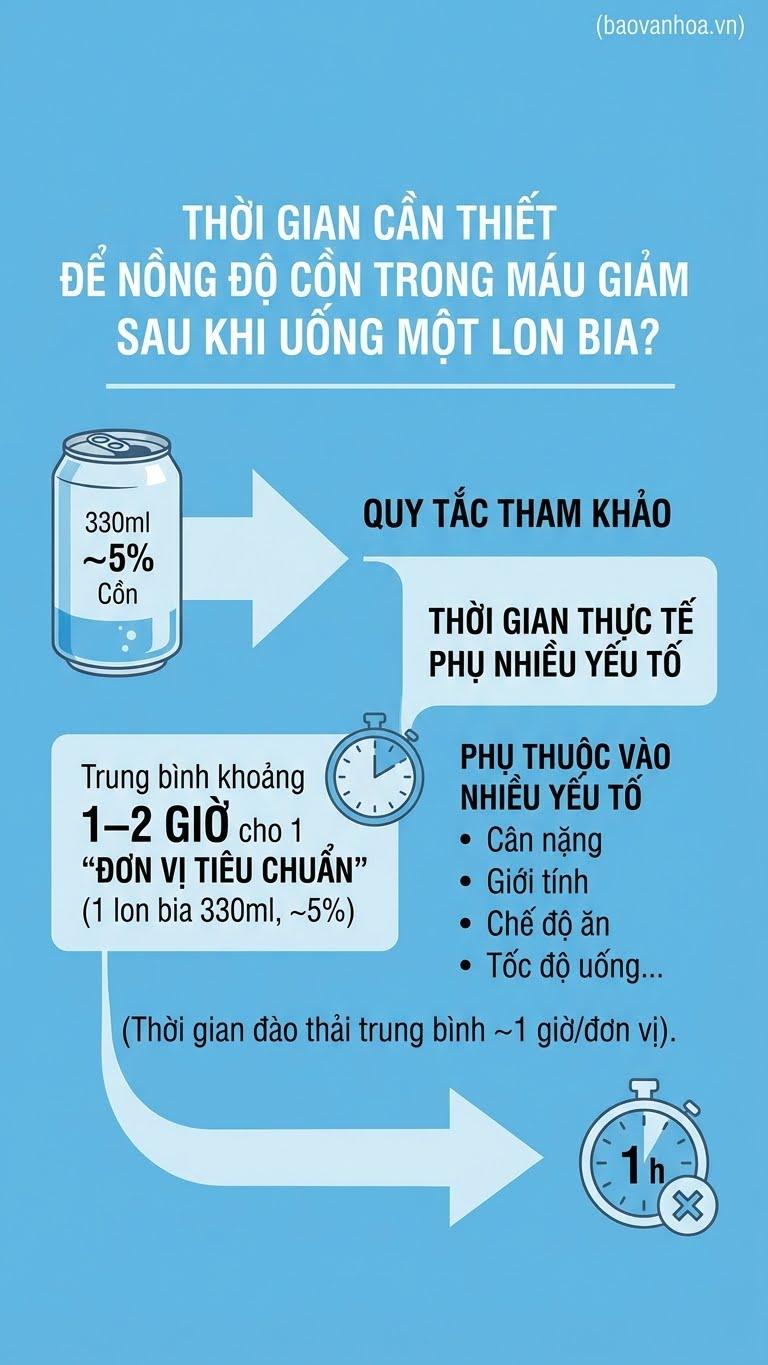 10 câu hỏi về nồng độ cồn được quan tâm nhất năm 2025 - ảnh 2