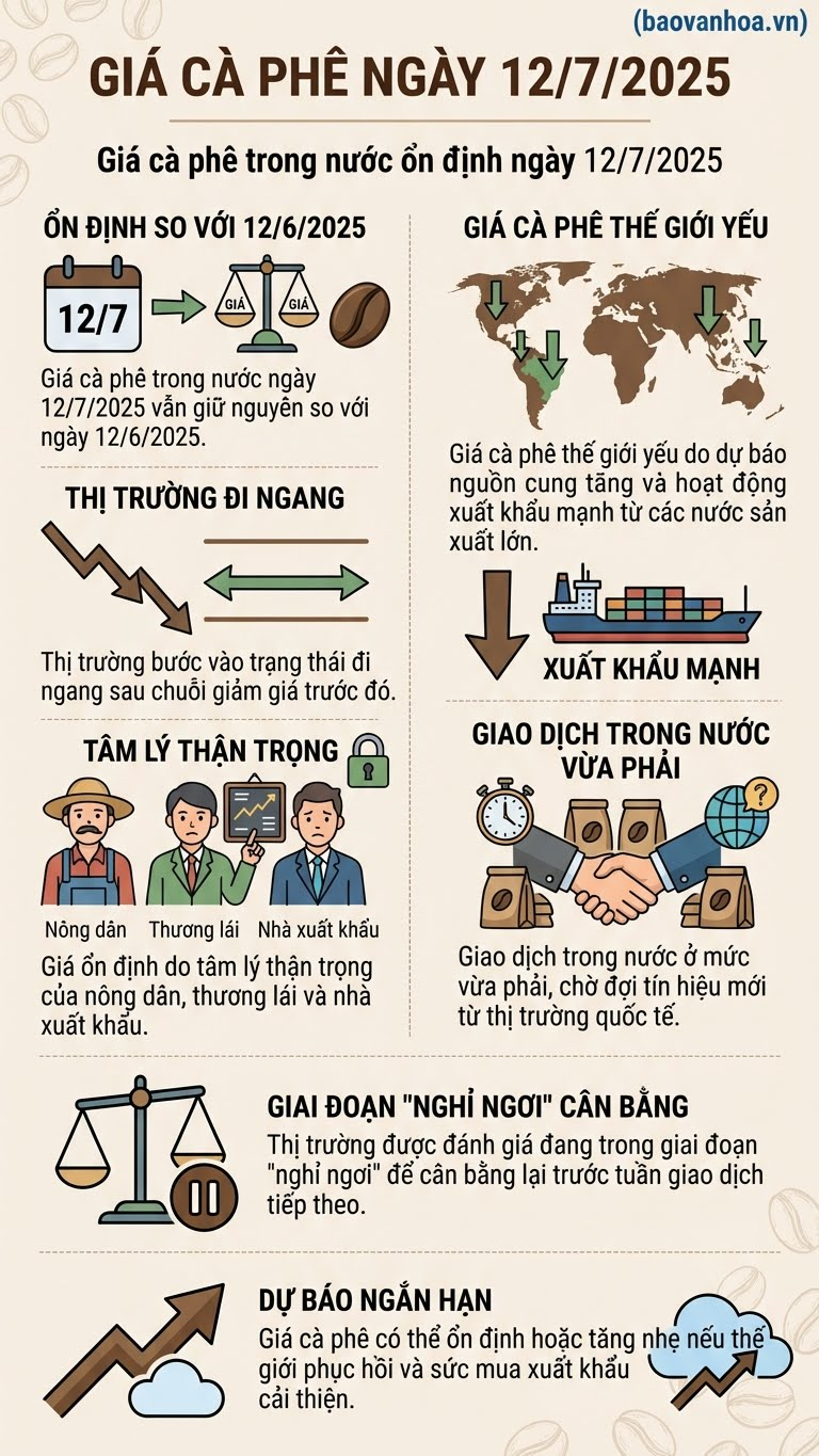 Giá cà phê hôm nay 7.12: Ổn định sau chuỗi ngày biến động - ảnh 3