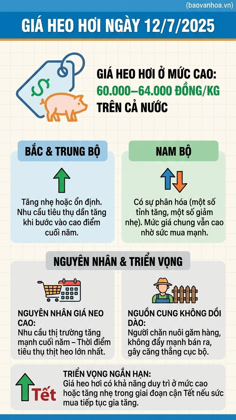 Giá heo hơi hôm nay 7.12: Neo cao 60.000-64.000 đồng/kg cuối năm - ảnh 3