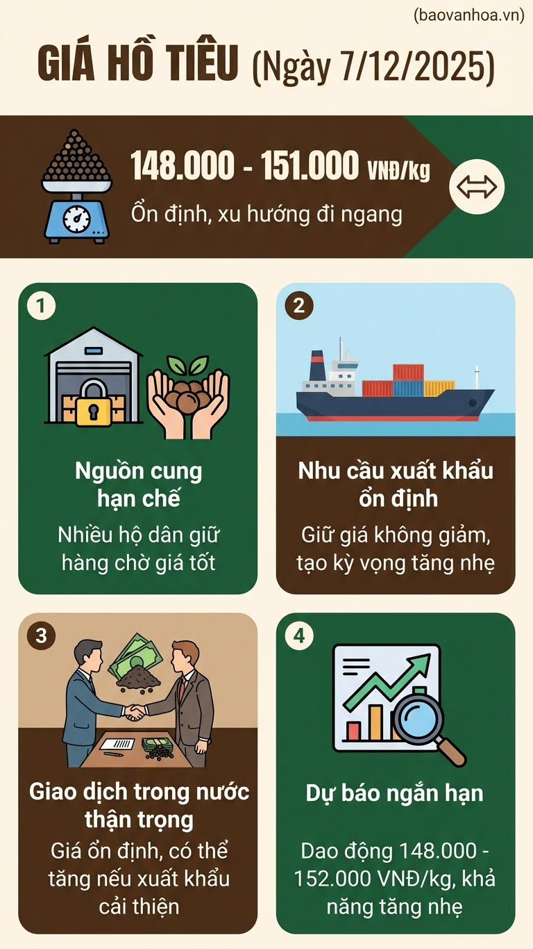 Giá hồ tiêu hôm nay 7.12: ổn định mức 150.000 đồng/kg - ảnh 3