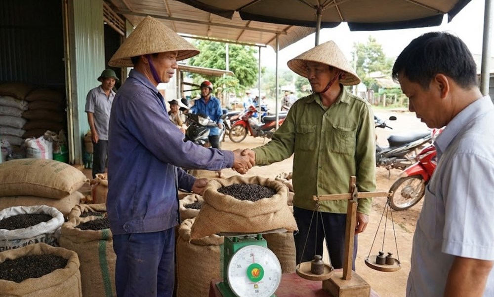 Giá hồ tiêu hôm nay 7.12: ổn định mức 150.000 đồng/kg - ảnh 1