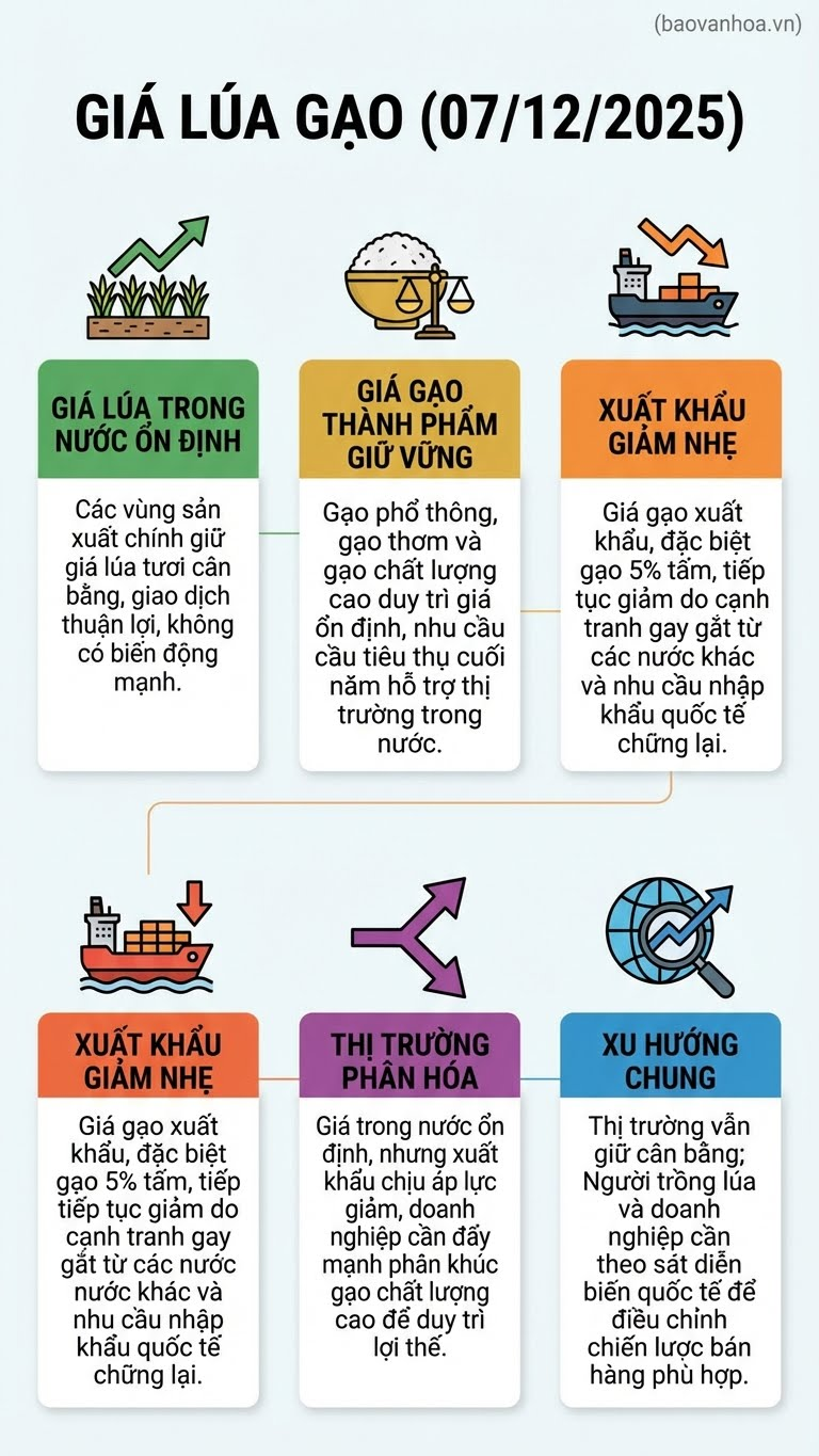 Giá lúa gạo hôm nay 7.12: Nội địa ổn định, xuất khẩu giảm nhẹ - ảnh 3