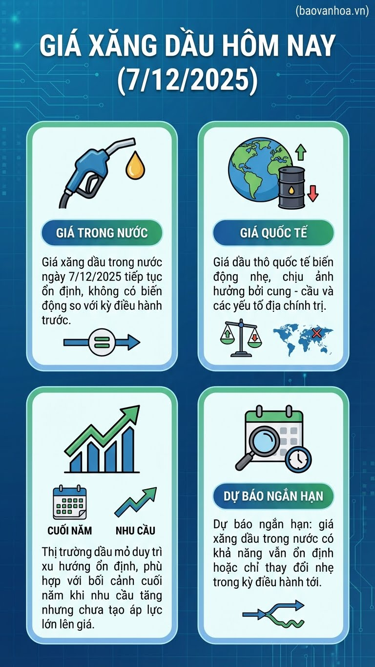 Giá xăng dầu hôm nay 7.12: Trong nước ổn định, quốc tế biến động nhẹ - ảnh 3