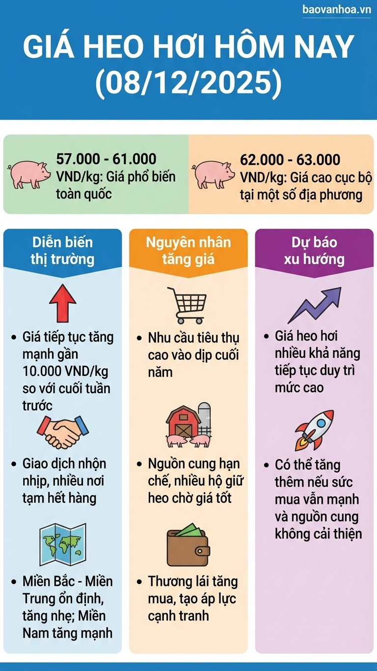 Giá heo hơi hôm nay 8.12: tăng mạnh, vượt 63.000 đồng/kg - ảnh 3