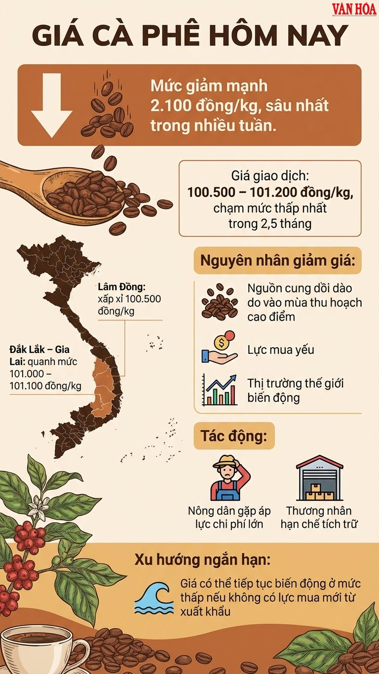 Giá cà phê hôm nay 10.12: giảm xuống dưới 101.000 đồng/kg - ảnh 3
