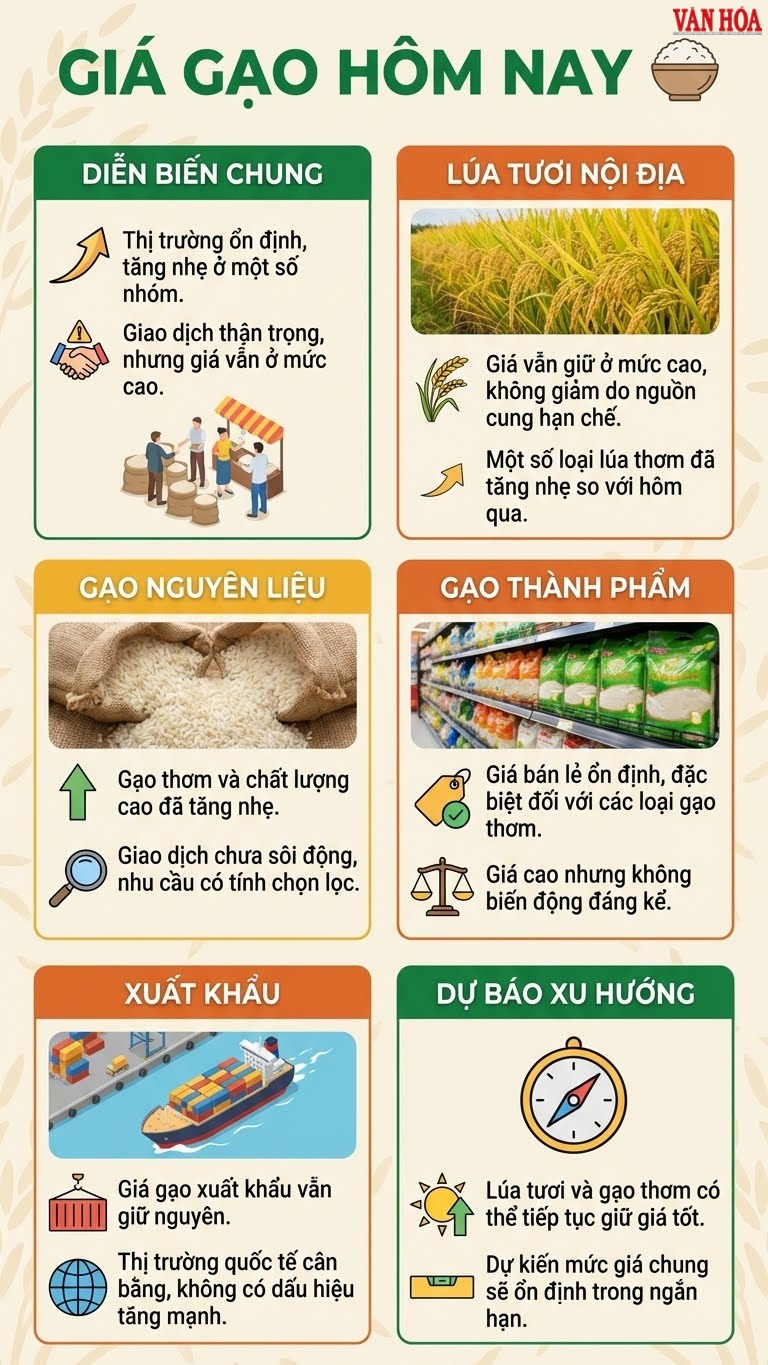 Giá lúa gạo hôm nay 10.12: Lúa neo cao, gạo thơm nhích nhẹ - ảnh 3