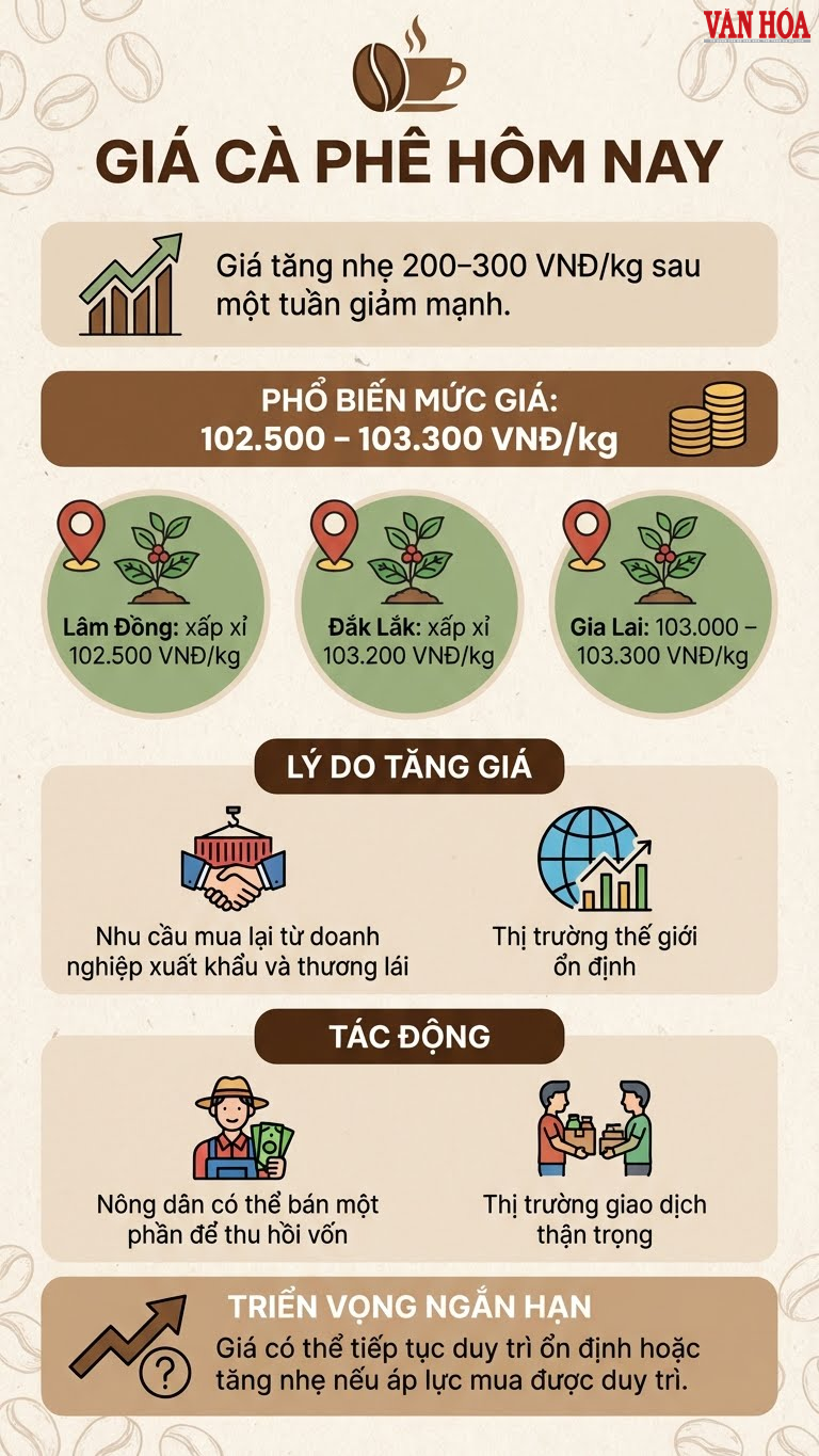 Giá cà phê hôm nay 11.12 tăng nhẹ, thị trường hồi phục - ảnh 3