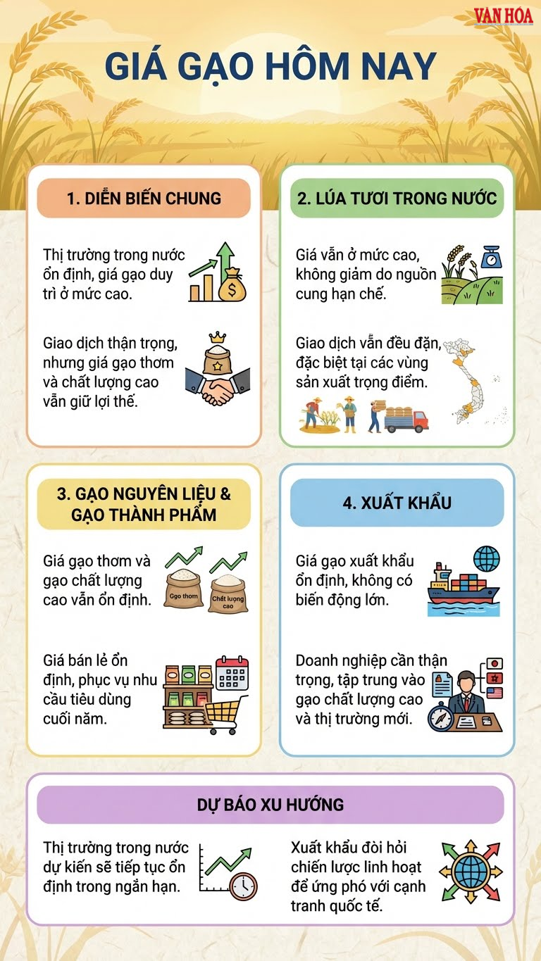 Giá lúa gạo hôm nay 11.12: Lúa neo cao, gạo thơm giữ giá - ảnh 3