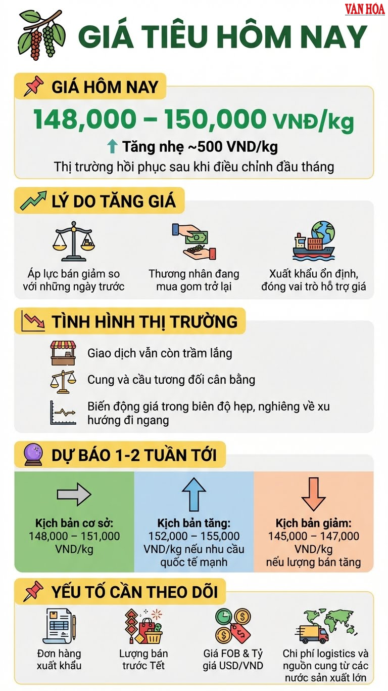 Giá hồ tiêu hôm nay 12.12: Tăng nhẹ trở lại 150.000 đồng/kg - ảnh 3