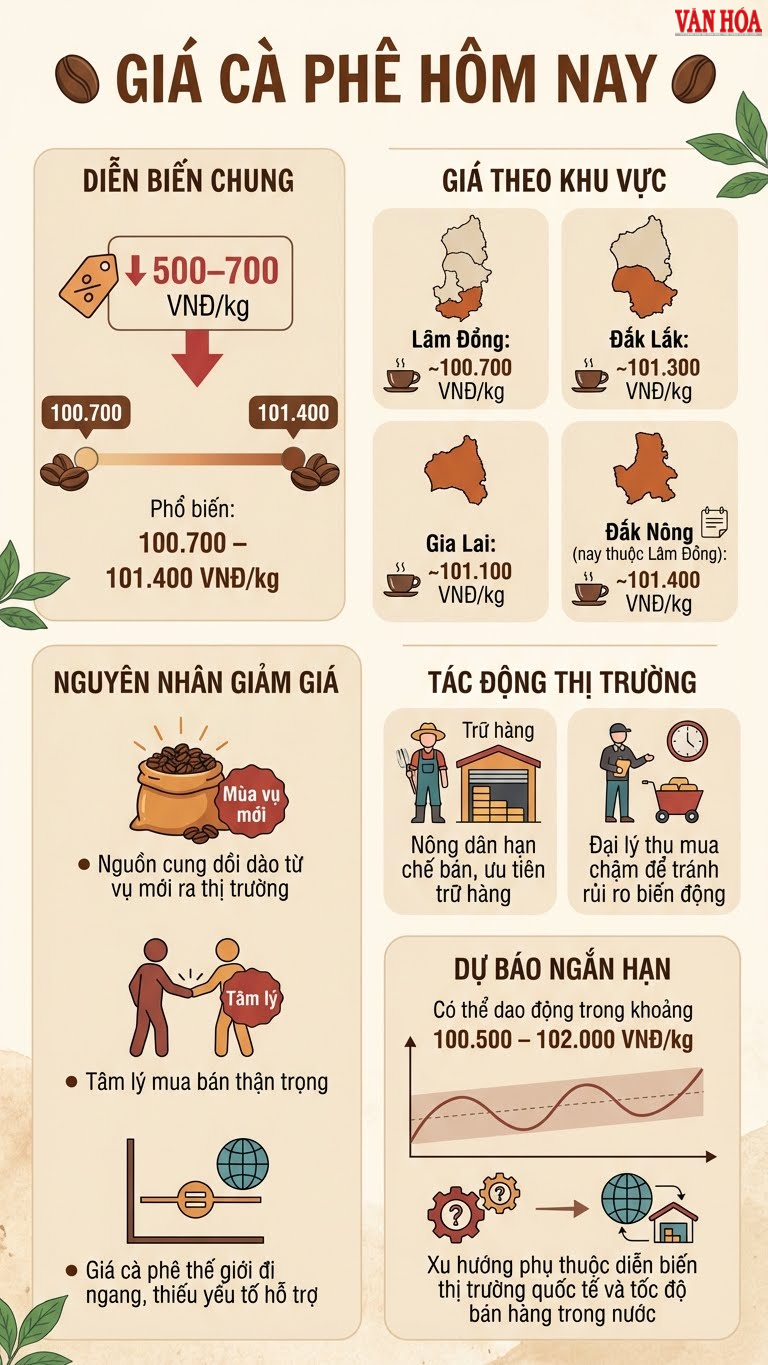 Giá cà phê hôm nay 13.12: Giảm 500–700 đồng/kg - ảnh 3