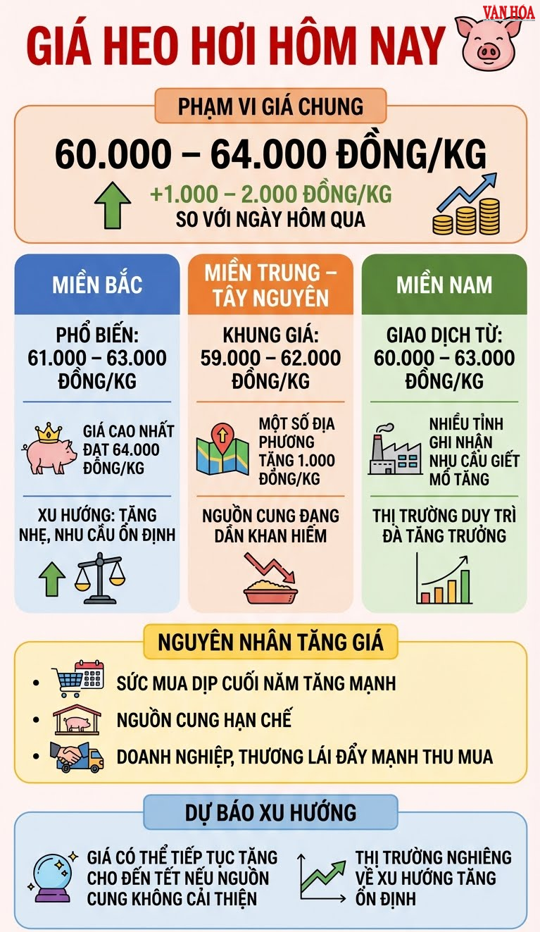 Heo hơi hôm nay 13.12: Giá tăng lan rộng khắp ba miền - ảnh 3