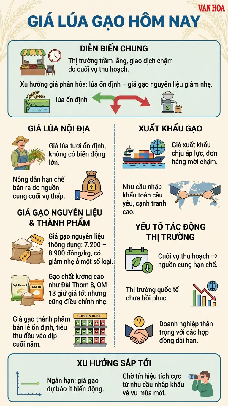 Giá lúa gạo hôm nay 13.12: Cuối vụ trầm lắng, giá giảm nhẹ - ảnh 3