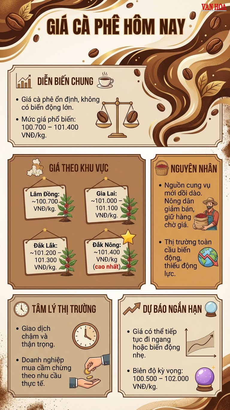 Giá cà phê hôm nay 14.12: Giữ mốc trên 101.000 đồng/kg - ảnh 3