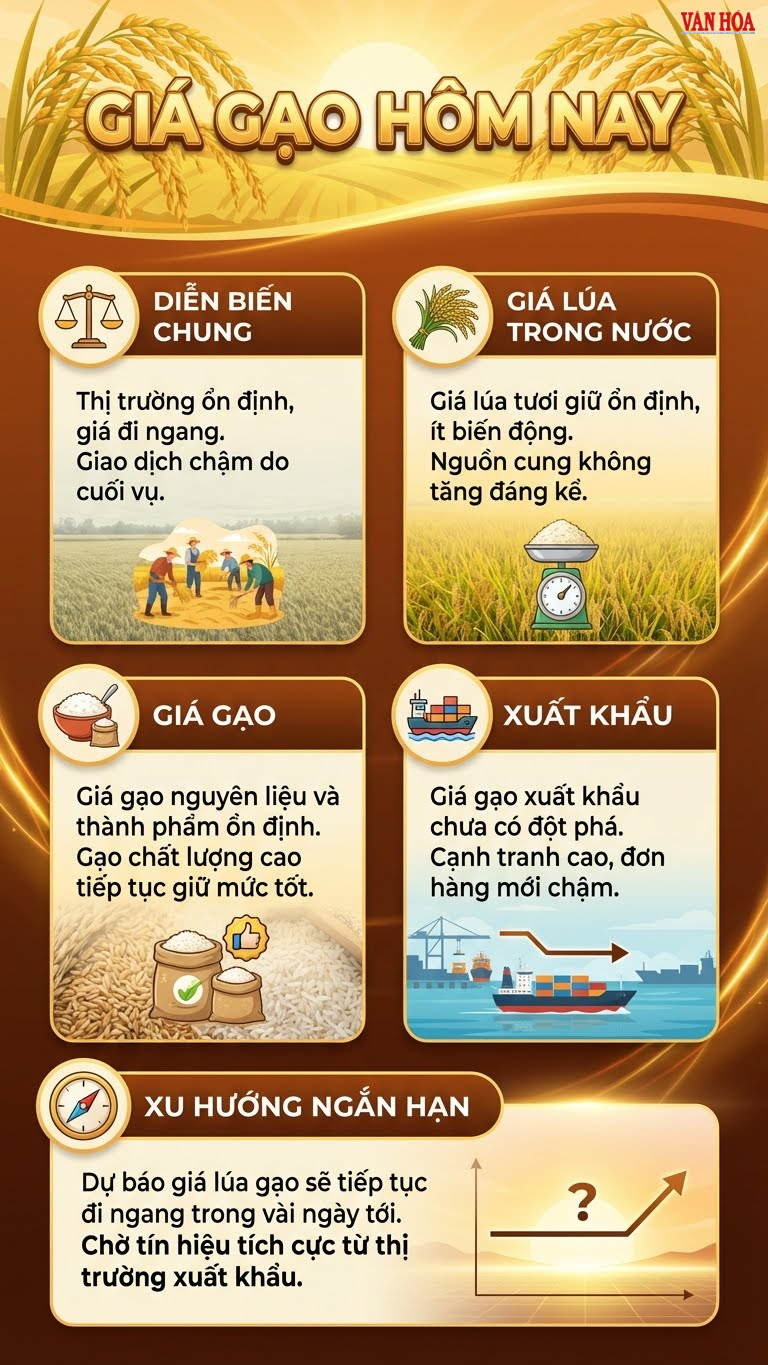 Giá lúa gạo hôm nay 14.12: Cuối năm giữ giá, sức mua chậm - ảnh 3