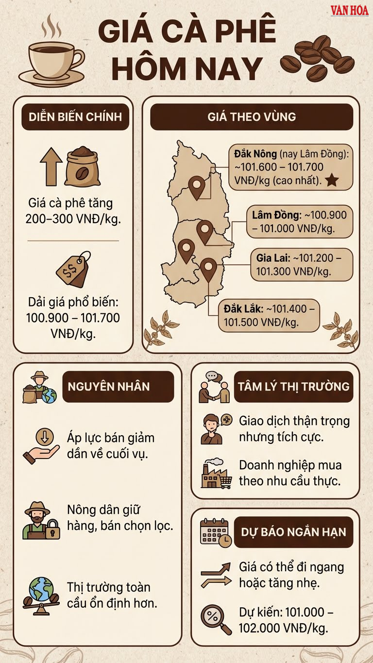 Giá cà phê hôm nay 15.12: Tăng nhẹ nhưng chưa bứt phá - ảnh 3