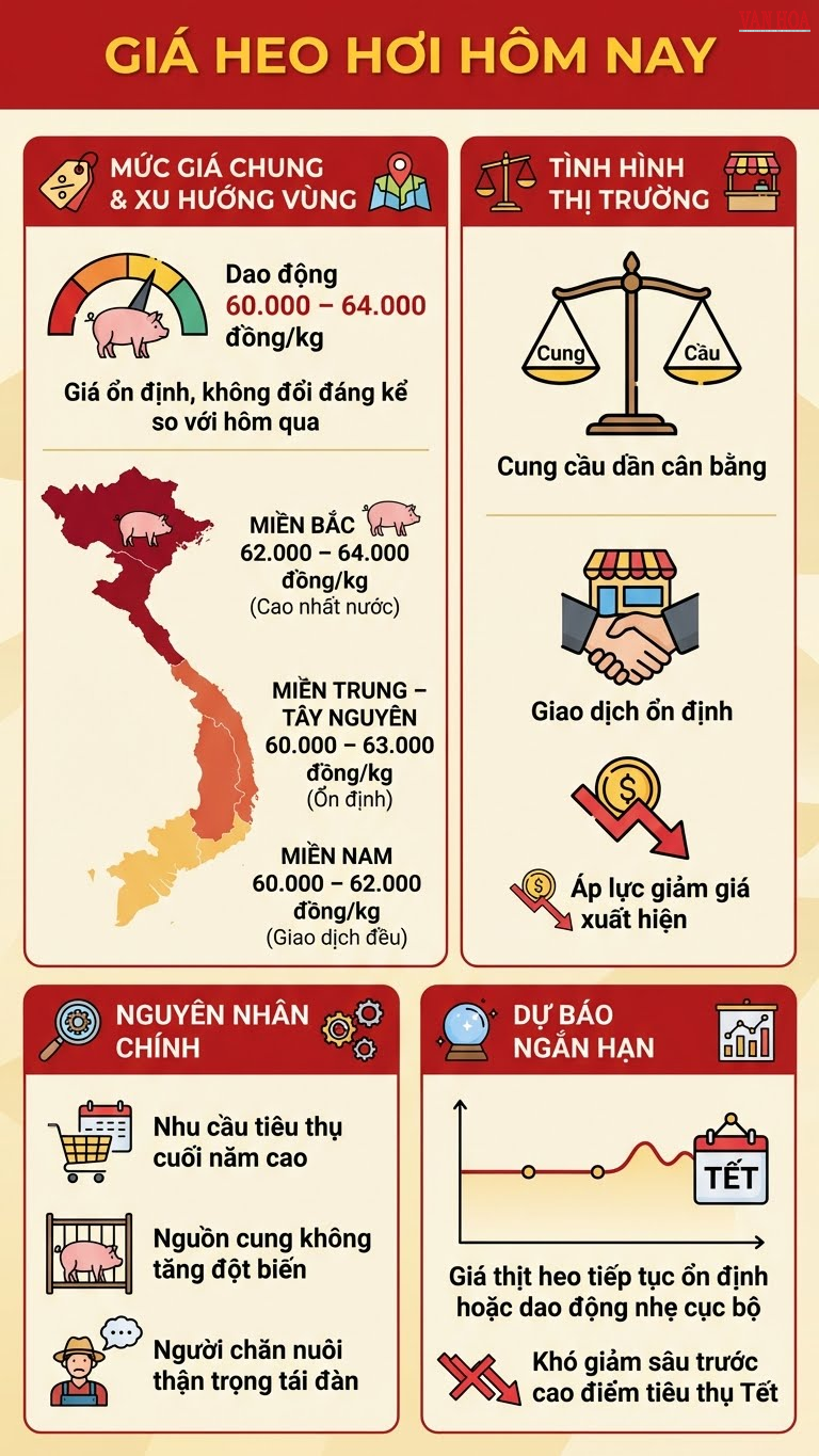 Giá heo hơi hôm nay 15.12: Giữ mốc 60.000-64.000 đồng/kg trên cả nước - ảnh 3