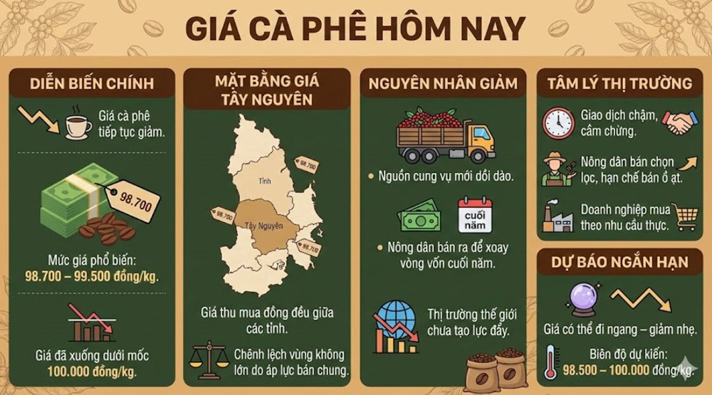 Giá cà phê hôm nay 16.12 giảm xuống dưới mốc 100.000 đồng/kg - ảnh 3