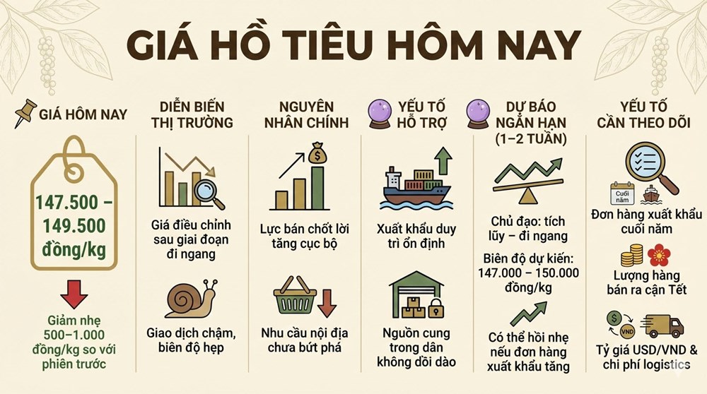 Giá hồ tiêu hôm nay 16.12: Giảm nhẹ về 147.500–149.500 đồng/kg - ảnh 3