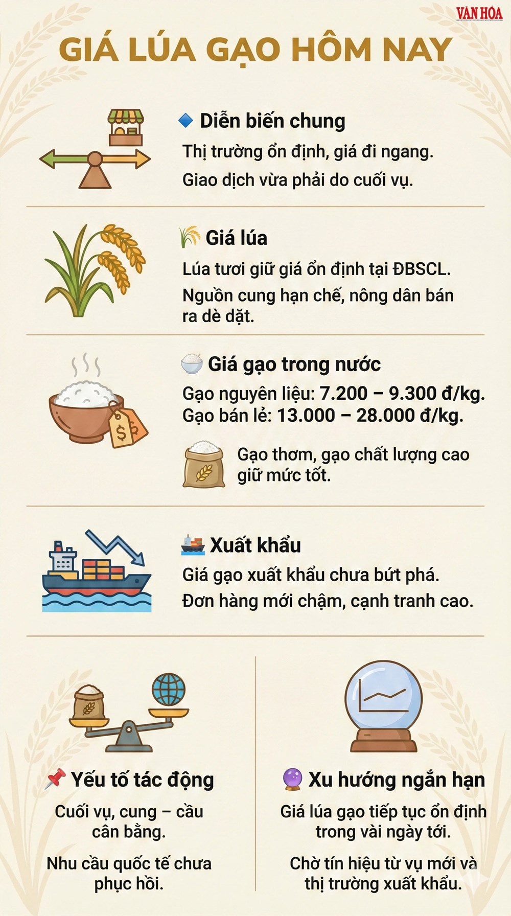 Giá lúa gạo hôm nay 16.12: Thị trường ổn định, gạo giữ giá - ảnh 3