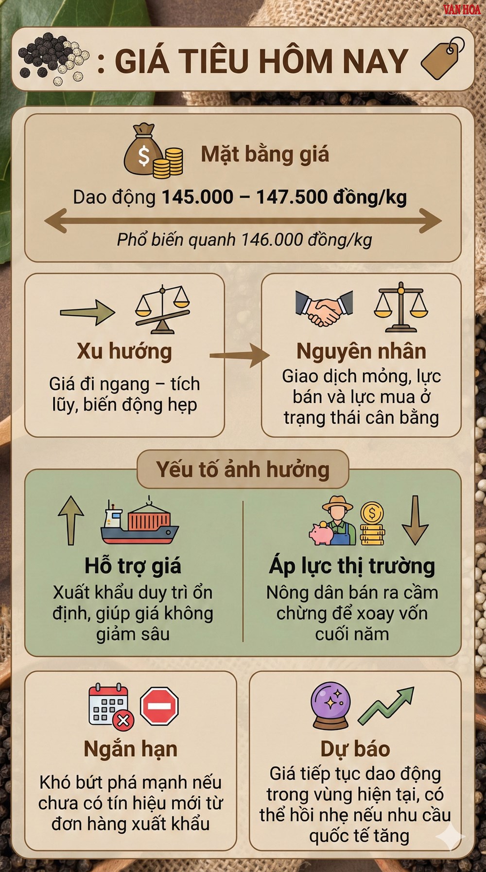 Giá hồ tiêu hôm nay 18.12: Giữ nguyên quanh 146.000 đồng/kg - ảnh 3