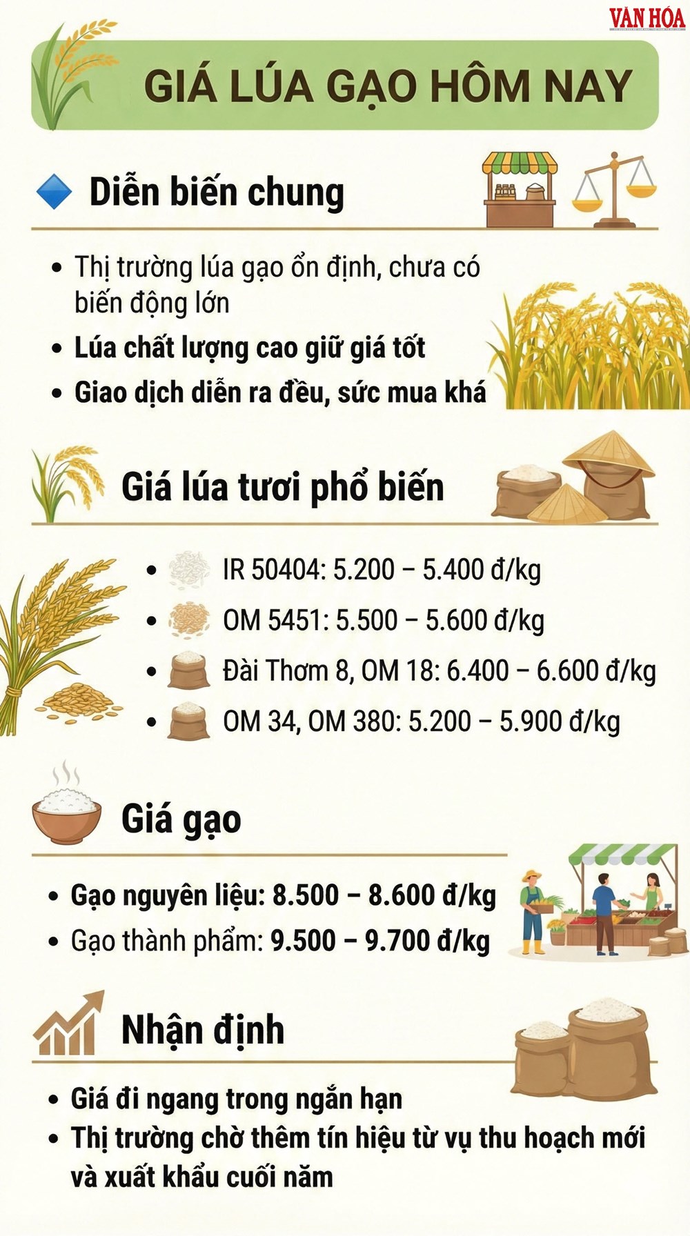 Giá lúa gạo hôm nay 18.12: Cuối vụ ổn định, chưa có biến động - ảnh 3