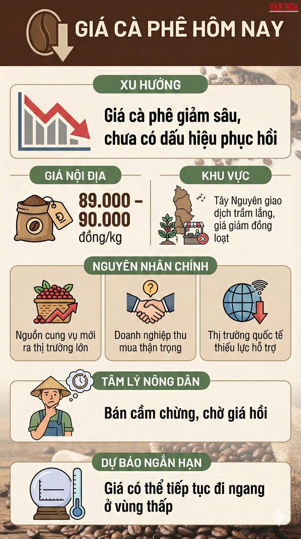 Giá cà phê hôm nay 19.12: Giảm sâu xuống sát 89.000 đồng/kg - ảnh 3