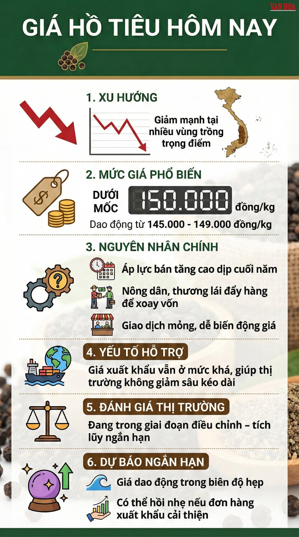 Giá hồ tiêu hôm nay 19.12: Giảm mạnh, tuột khỏi mốc 150.000 đồng/kg - ảnh 3